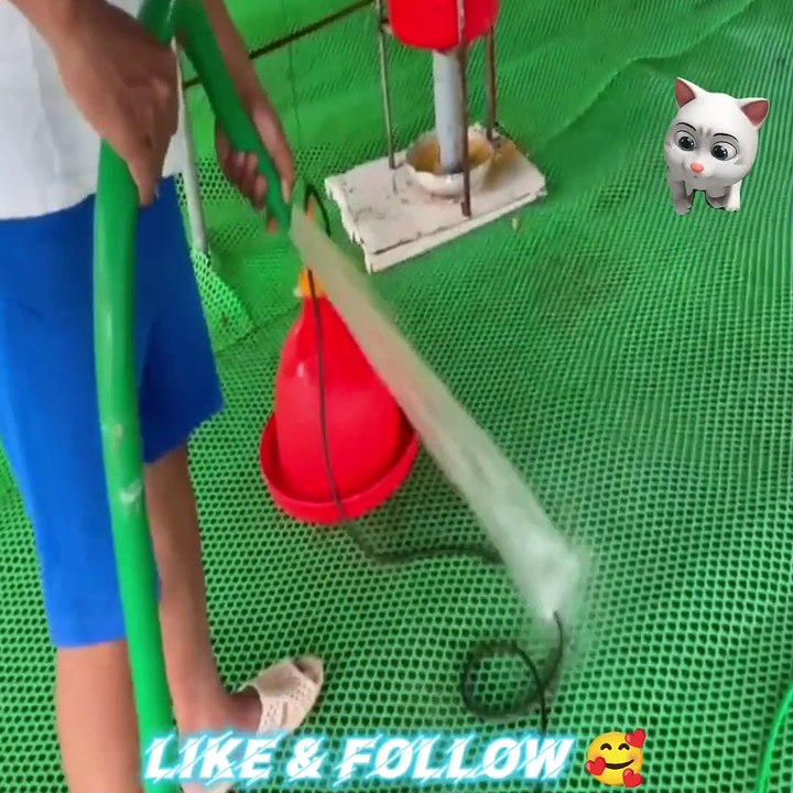 Thousands Of #Ducks Are Raised For Meat This Way #duck