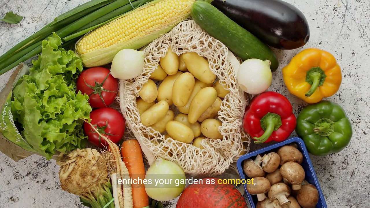 Green Innovations_ The Future of Sustainable Packaging