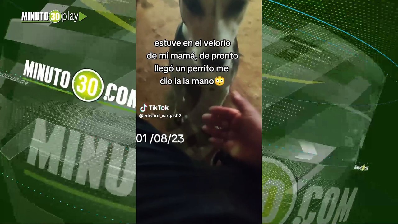 ‘Mi sentido pésame’ Un perrito acompañó a un homb