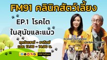 โรคไตในสุนัขและแมว EP.1 : FM91 คลินิกสัตว์เลี้ยง : 23 มีนาคม 2567