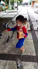 So many birds.