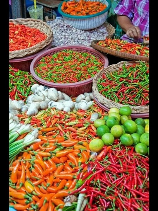 أنواع الخضر