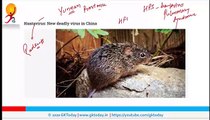 Nuevo virus azota China, Hantavirus