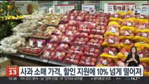 사과 소매 가격, 할인 지원에 10% 넘게 떨어져