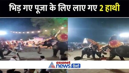 हमलावर हुए दो हाथी और केरल के अरातुपुझा उत्सव में मच गई भगदड़