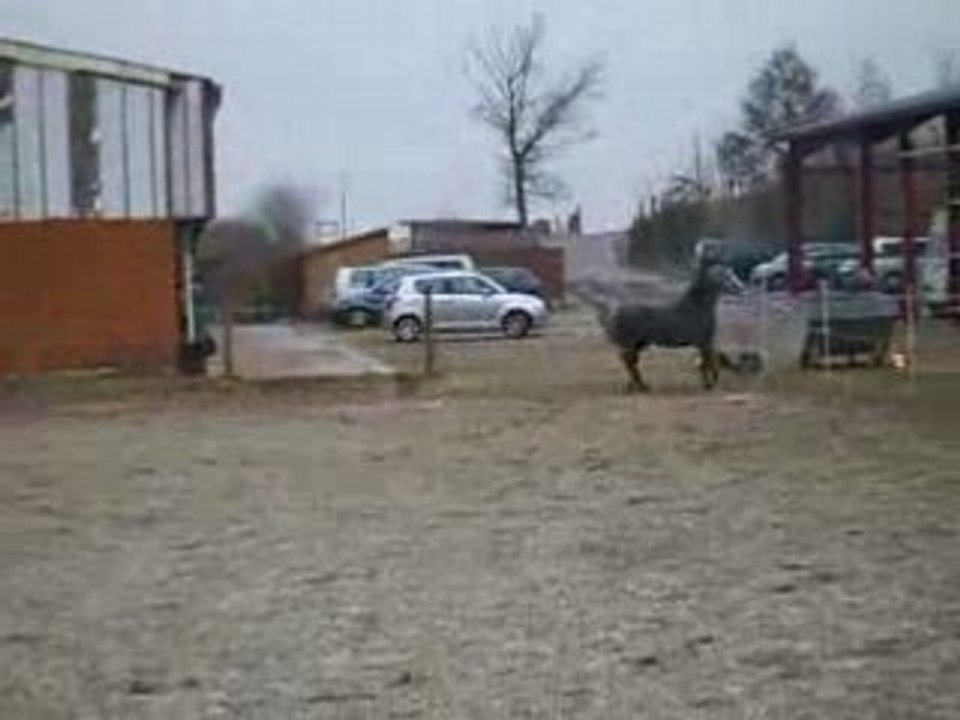 Quonstantine Qui Fatigue... =P