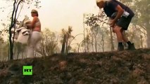 #VIDEO: Mujer arriesga su vida para salvar a un koala de los incendios en Australia