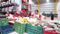 Luisito Comunica: Ellos convierten “BASURA” en COMIDA  | Banco de Alimentos