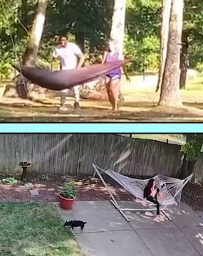 If It Ain’t Broke… They’ll Break It! Who Breaks It