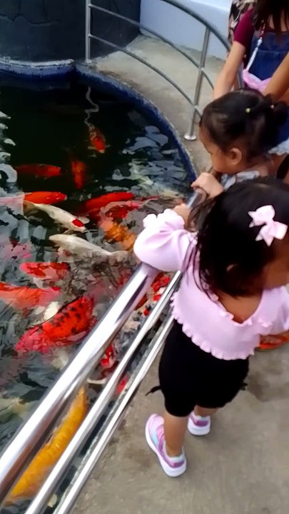 Beautiful fish.