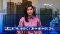 Ada Kasus Kematian Pasien DBD di Depok dan Bekasi, Diduga Korban Meninggal Akan Bertambah