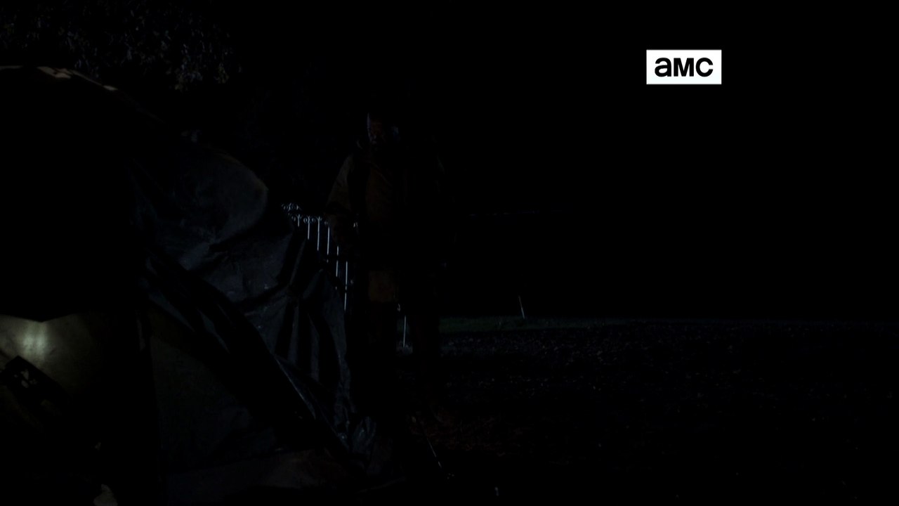 AMC FTWD S4 401 COL