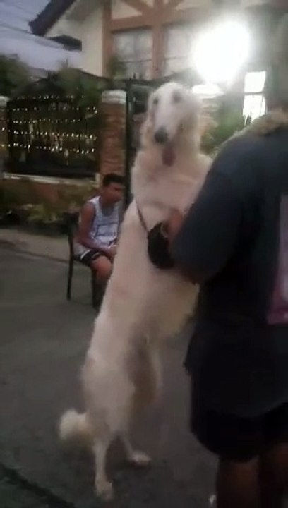 give me hug