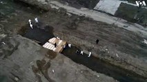 #VIDEO: Cuerpos enterrados en enorme fosa comun en New York City