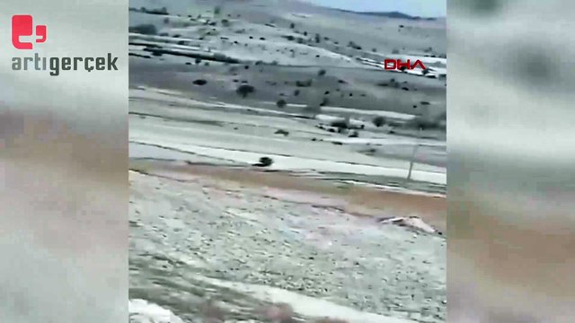 Kurt sürüsü cep telefonu kamerasıyla görüntülendi