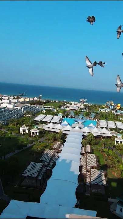 Cyprus Babylon Dikey 2