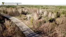 Incendio forestal enorme alrededor de Chernobyl frustrado: autoridades