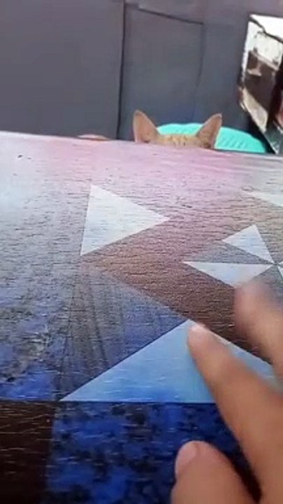 Sign up for ExpertOption by referral link and get a 120% bonus https://eo.shortlify.com/787198544