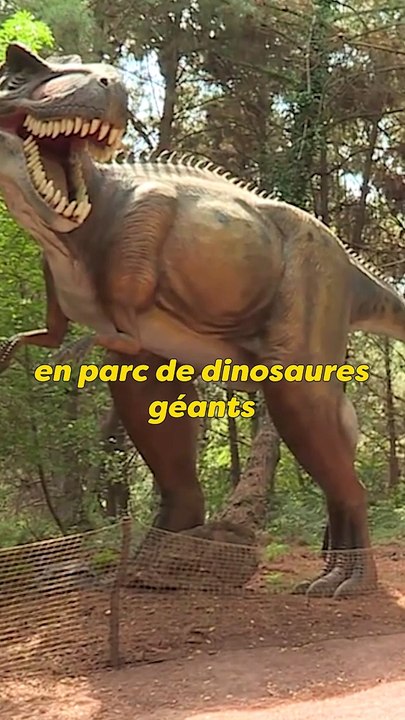 Un parc pour dinos ou oiseaux ?