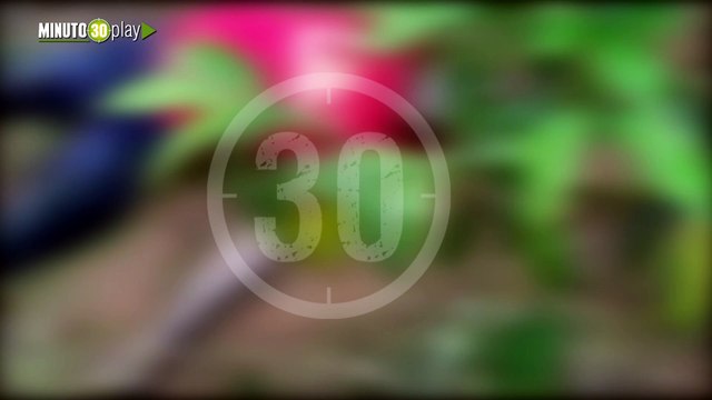 Se los estaban comiendo las aves Encontraron muertos a dos hombres en Copacabana