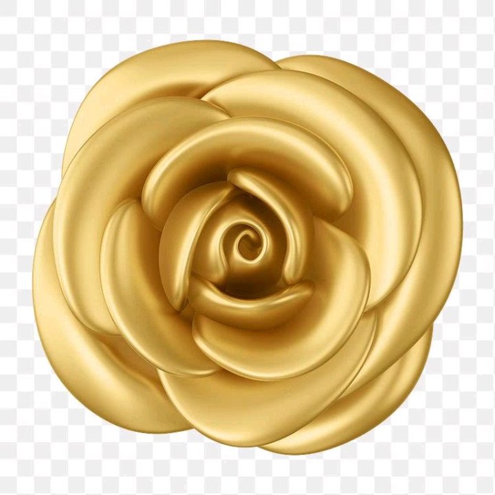 Beautiful golden flower