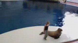 Dancing Walrus