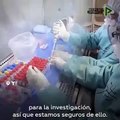 El coronavirus no pudo haberse creado en un laboratorio