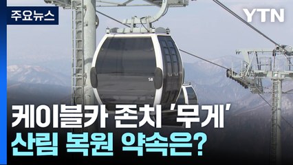 가리왕산 케이블카 존치 '무게'...산림 복원 약속은? / YTN