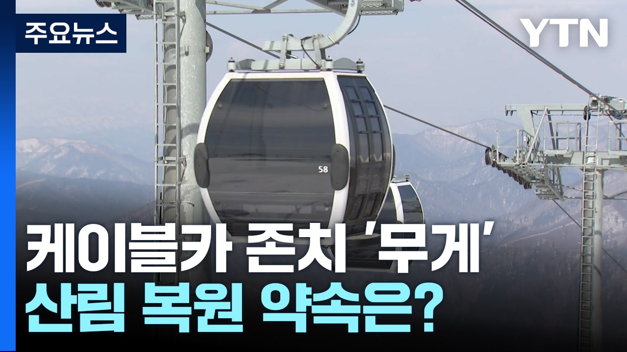 가리왕산 케이블카 존치 '무게'...산림 복원 약속은? / YTN