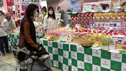 Interpets, la feria mundial de mascotas que se realiza en Japón