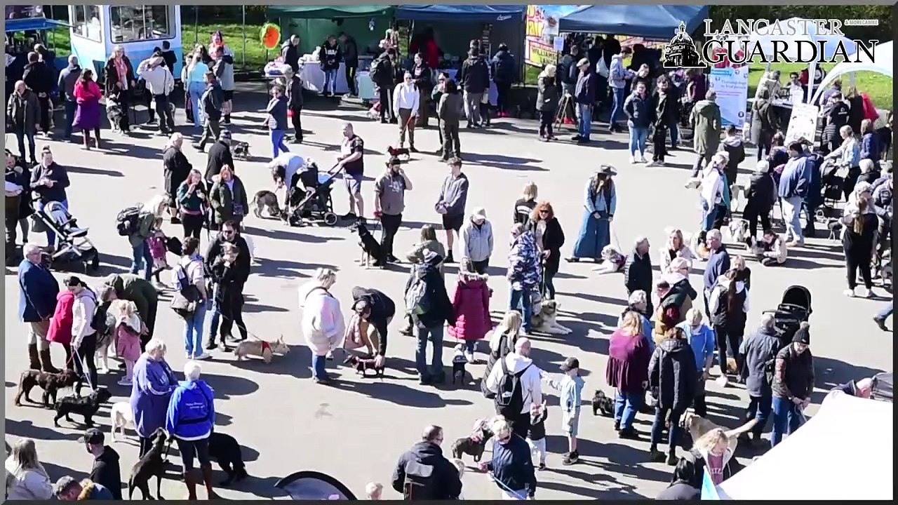 Pups in the Park returns to Williamson Park
