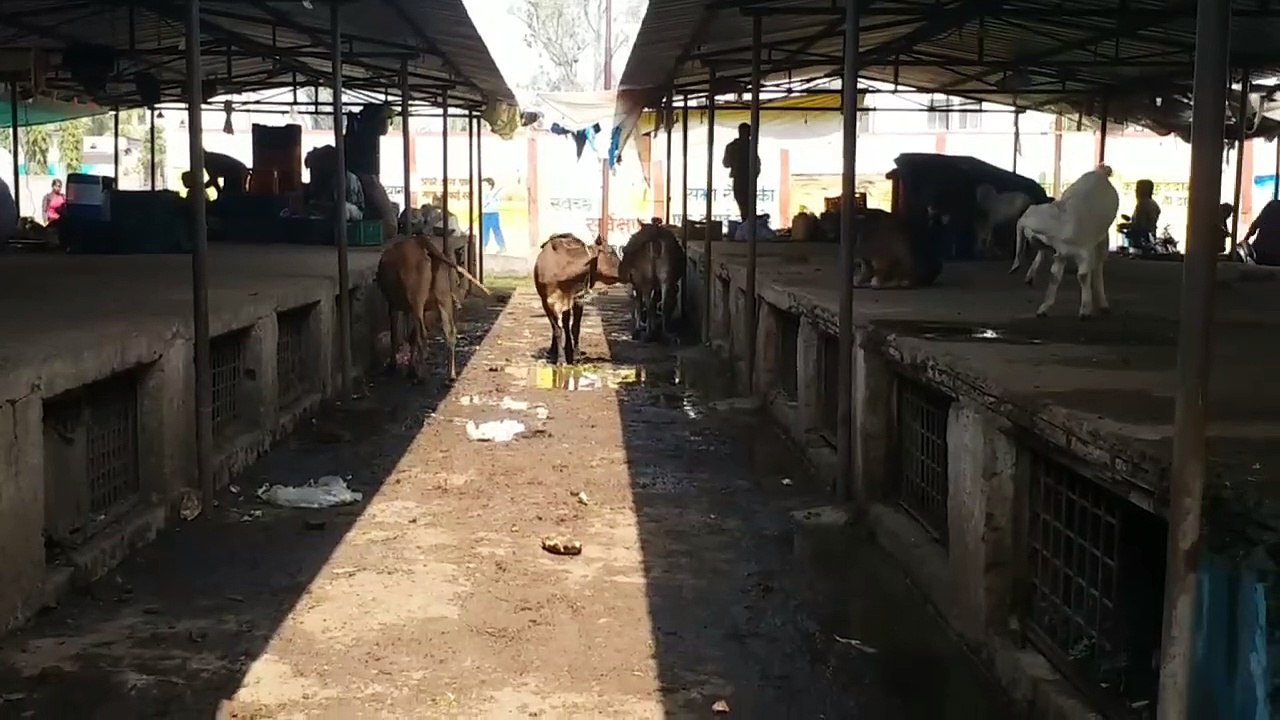 Ban on collection of market fees from shopkeepers in vegetable market