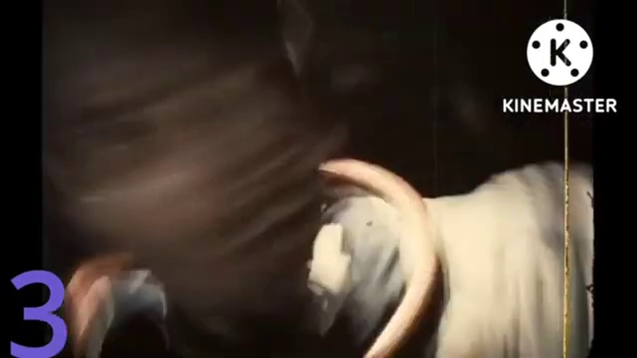 Karaoke of kill count DEATH COUNT apollo 18 (2011).