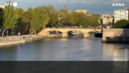 Francia, nella Senna si pescano grossi pesci siluro