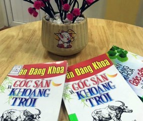 Bạn Phạm Linh An giới thiệu cuốn sách "Góc sân và khoảng trời" - Tác giả Trần Đăng Khoa
