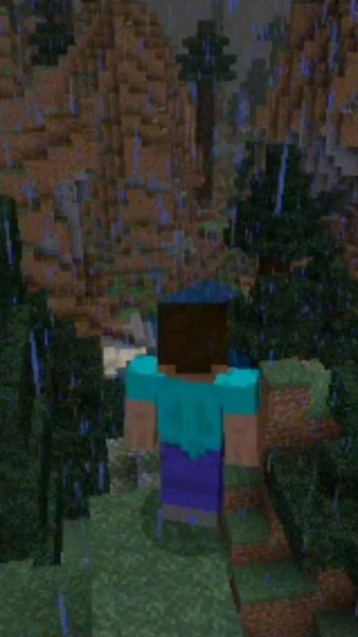 LE VOYAGE DE STEVE MINECRAFT