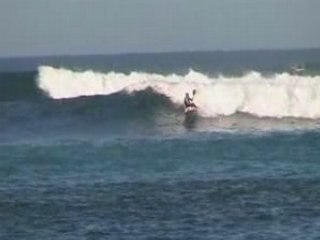 la kermesse aux canaries - majanicho