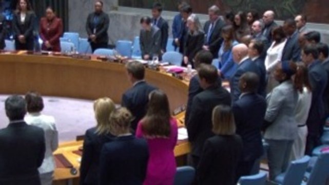 El Consejo de Seguridad de la ONU guarda un minuto de silencio por las víctimas del atentado en Rusia