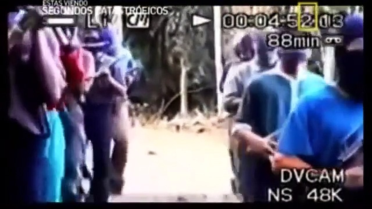 Atentados En Bali Español Latino