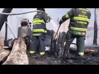 Perrito llora al ver su refugio envuelto en llamas en Jalisco