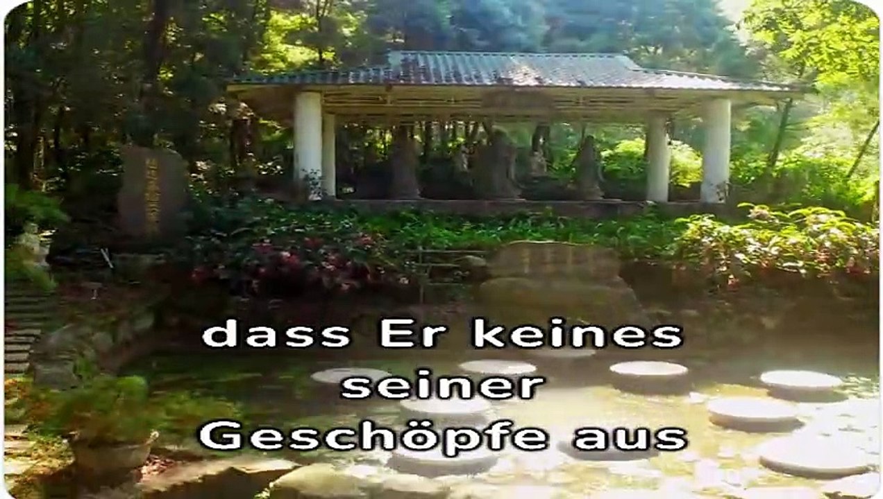 Auf der Erde vergessen