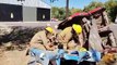 Bomberos voluntarios realizaron practica de rescate vehicular en Valle Viejo