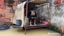 Deadly flooding in Brazil submerges inside and outside of homes