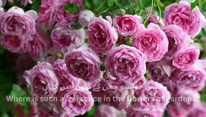 ہم نے آنکھوں سے دیکھا نہیں ہے مگر (1)