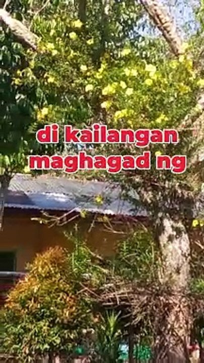 mudaya kyoo