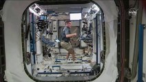 Después de 19 horas de su despegue SpaceX llega a la Estación Espacial Internacional