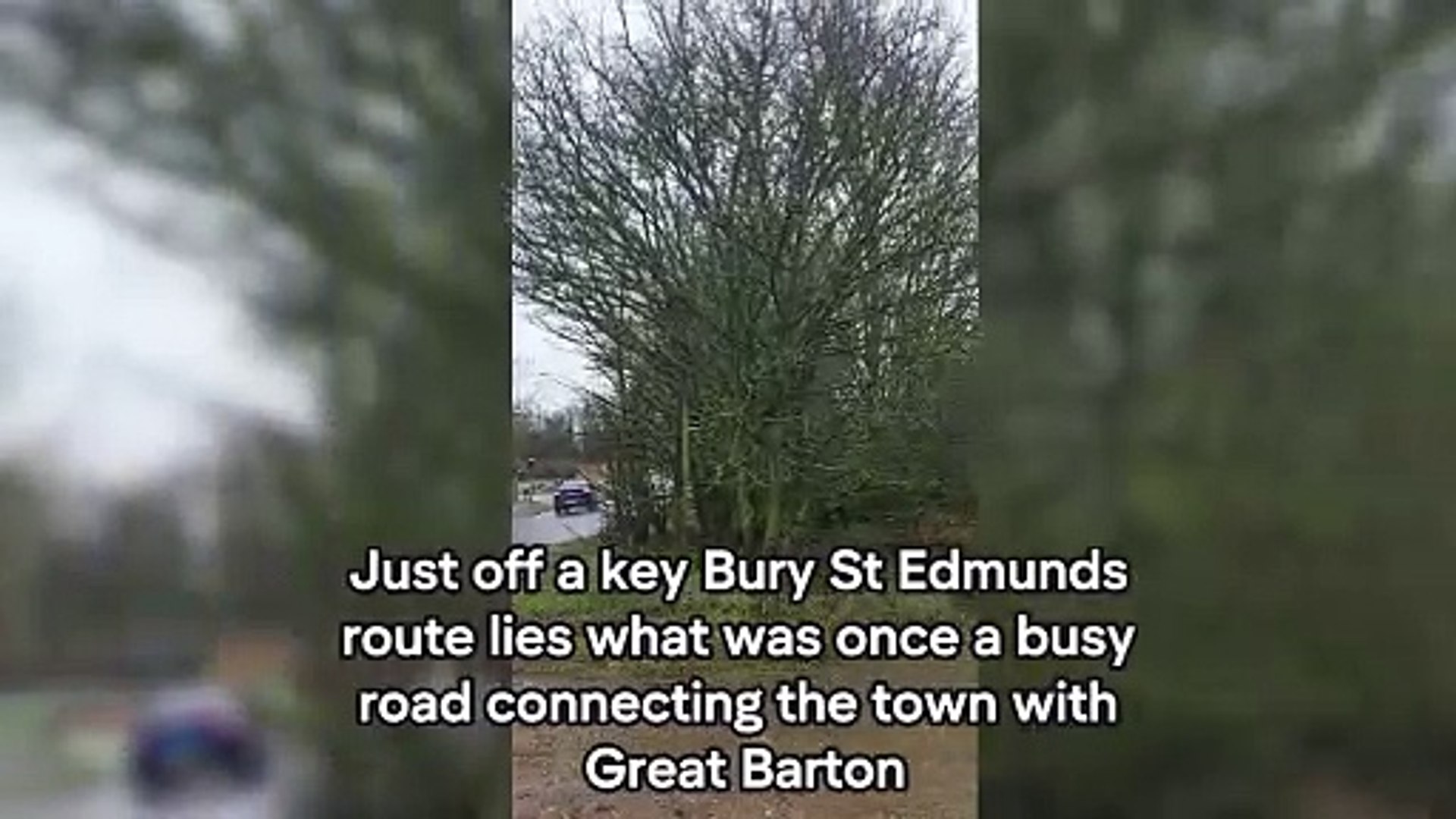 ⁣Weekly video: The abandoned Suffolk 'ghost road'