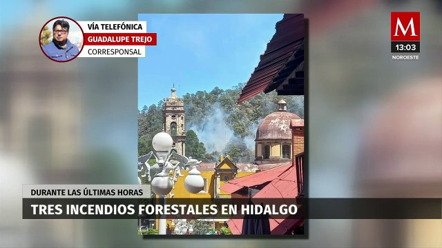 Reportan múltiples incendios forestales en Hidalgo