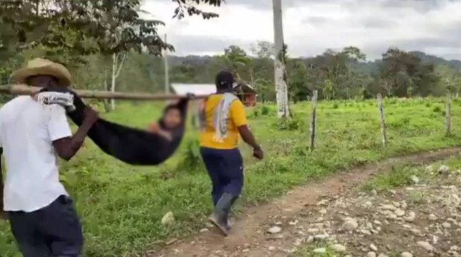 Niño de 10 años falleció en zona rural de Urrao tras ser mordido por una serpiente