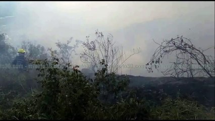 Incendio cerro Quitasol
